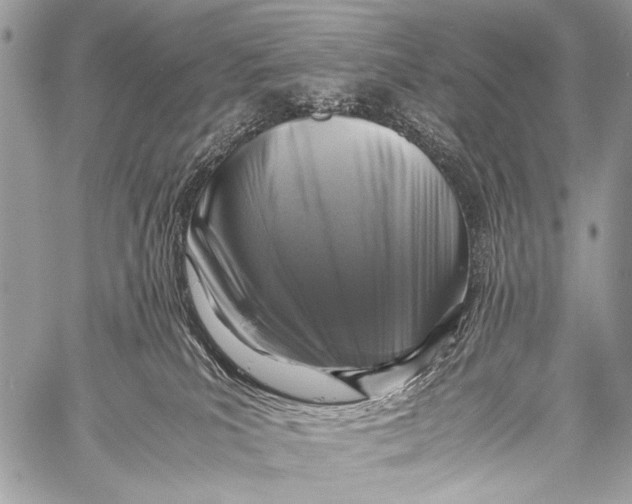 X0000057560039200510141359