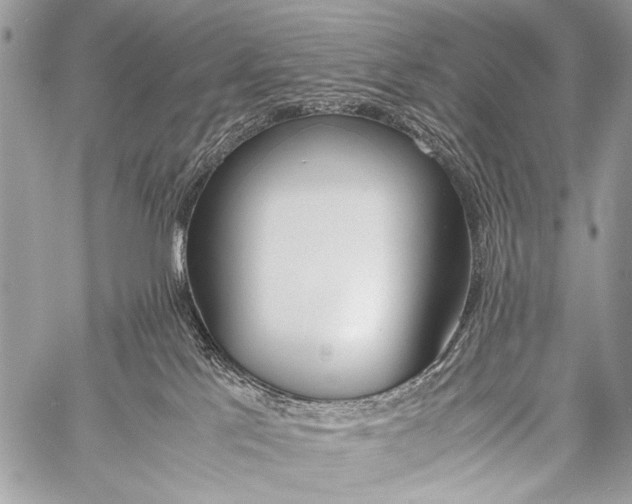 X0000057560041200510141359