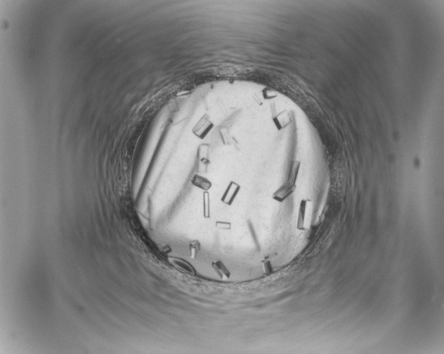 X0000057560043200510141359