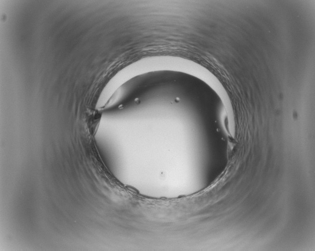 X0000057560045200510141359