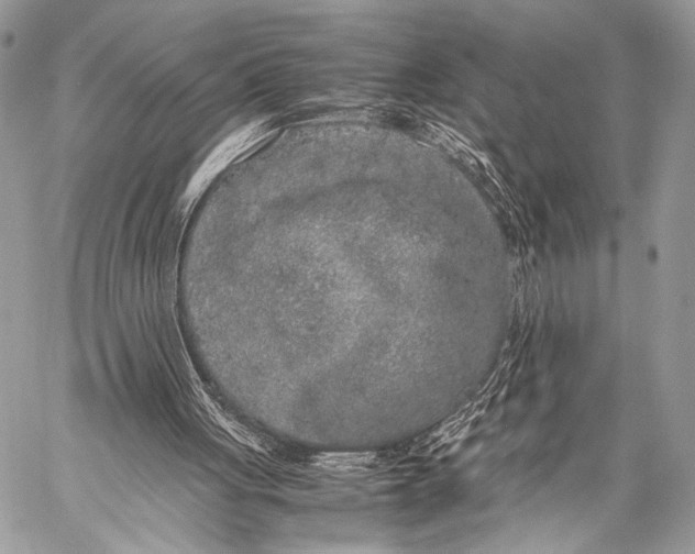 X0000057560051200510141359