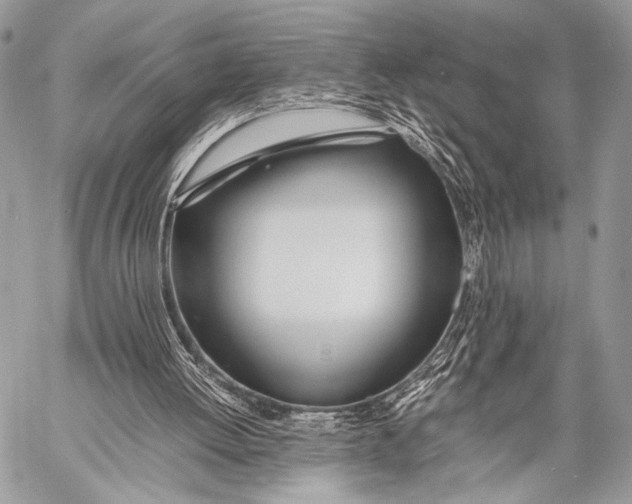X0000057560052200510141359