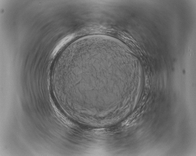 X0000057560054200510141359