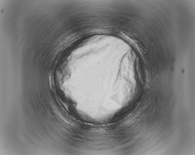 X0000057560061200510141359
