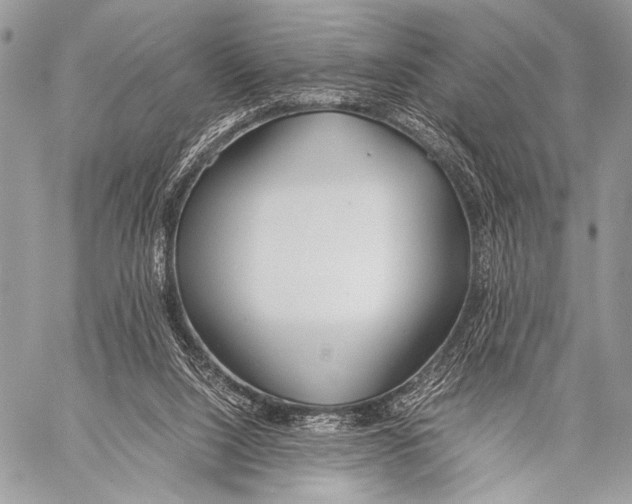 X0000057560064200510141359