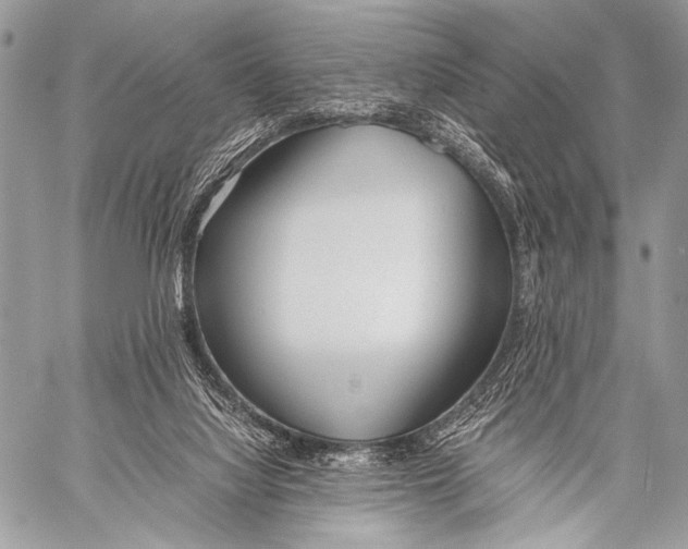 X0000057560068200510141359