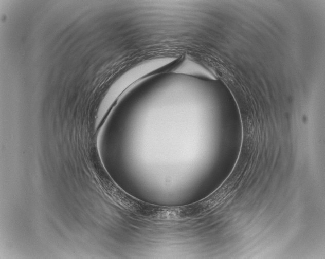 X0000057560080200510141359