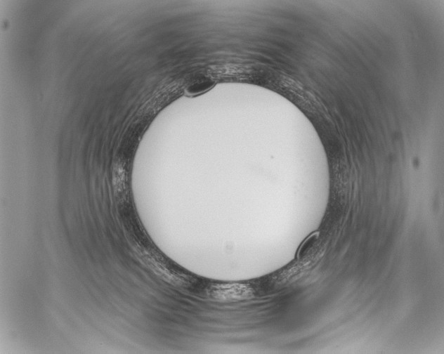 X0000057560087200510141359