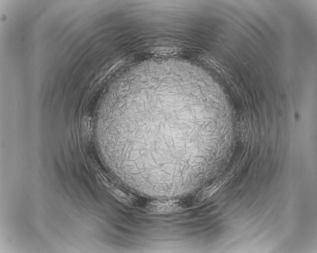 X0000057560093200510141359