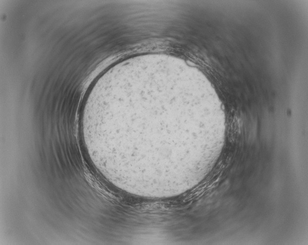 X0000057560100200510141358