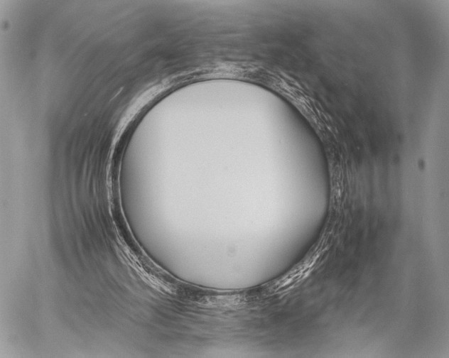 X0000057560102200510141358