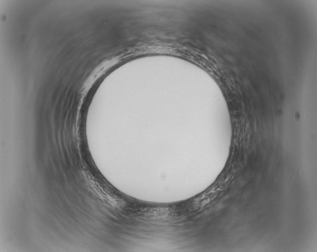 X0000057560104200510141358