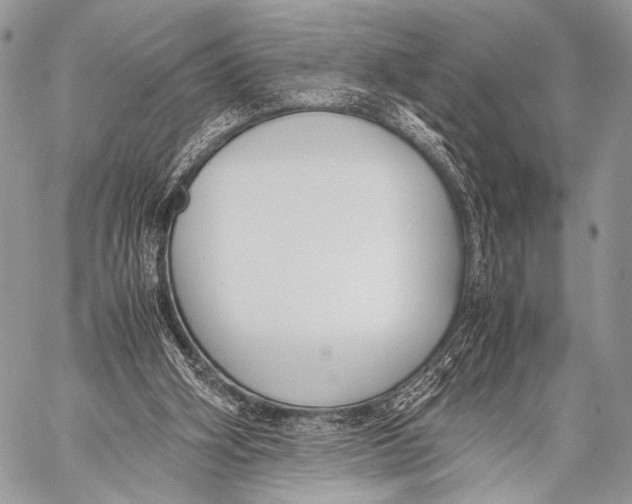 X0000057560106200510141358