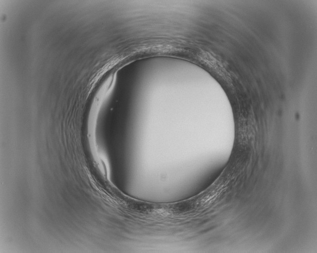 X0000057560111200510141358