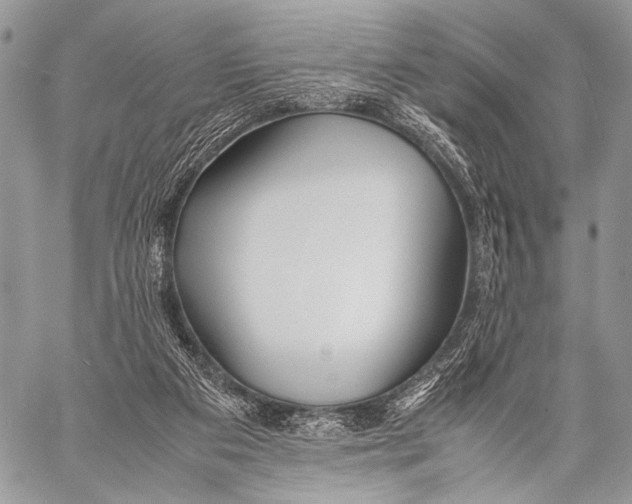 X0000057560113200510141358