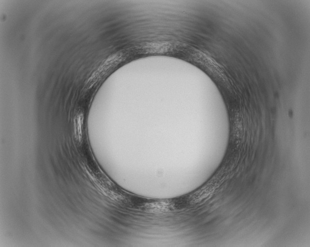 X0000057560118200510141358