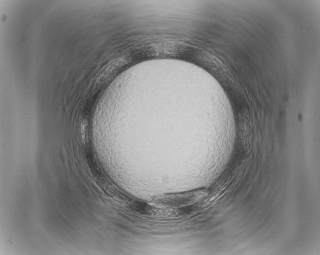 X0000057560123200510141358