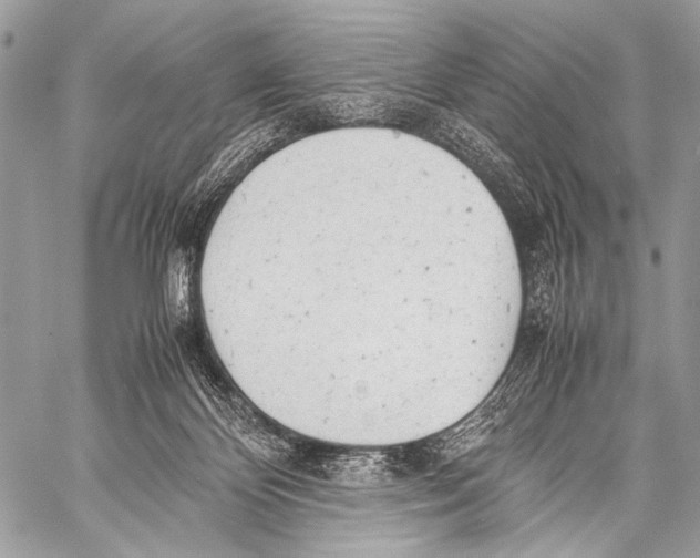 X0000057560124200510141358