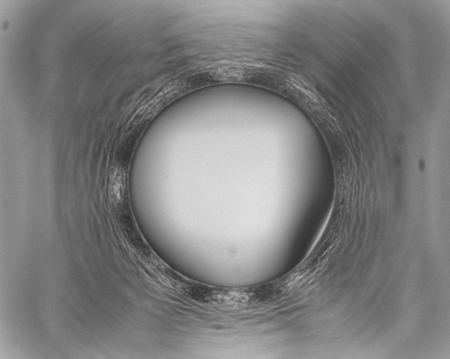 X0000057560125200510141358
