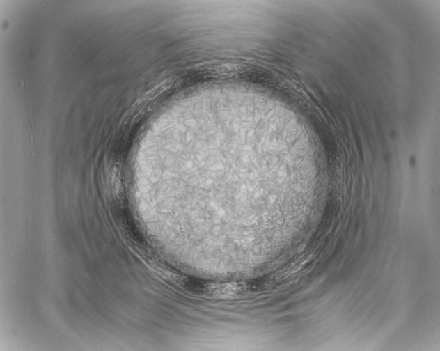 X0000057560131200510141358
