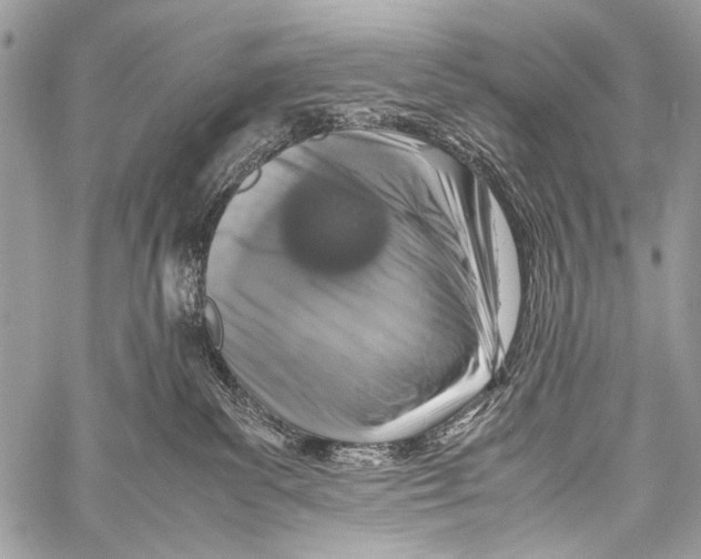 X0000057560139200510141358