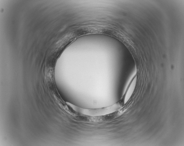 X0000057560141200510141358