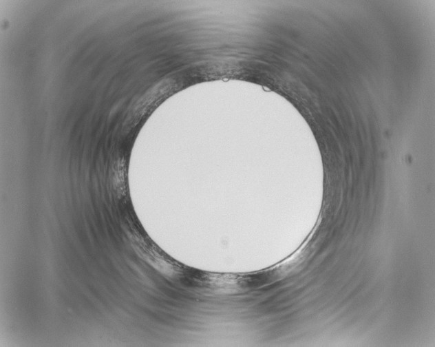 X0000057560144200510141358