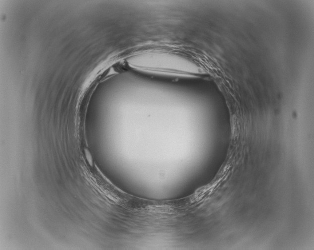 X0000057560150200510141357