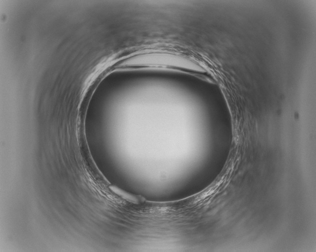 X0000057560152200510141357