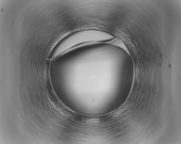 X0000057560156200510141357