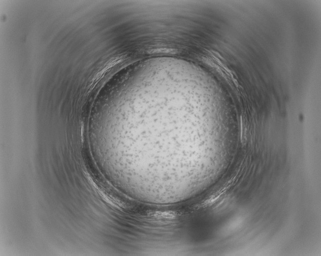 X0000057560157200510141357