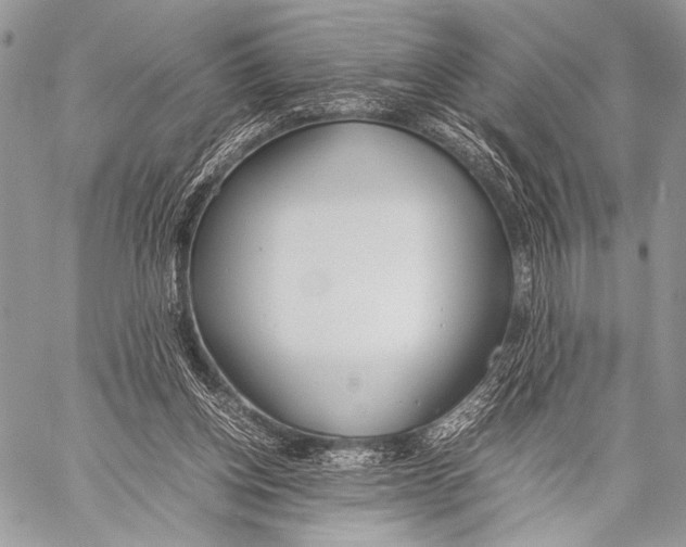 X0000057560158200510141357