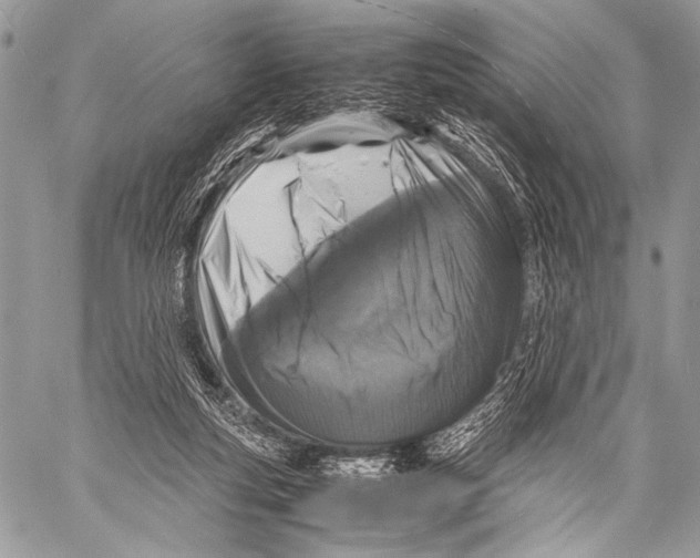 X0000057560163200510141357