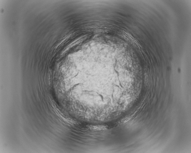 X0000057560165200510141357