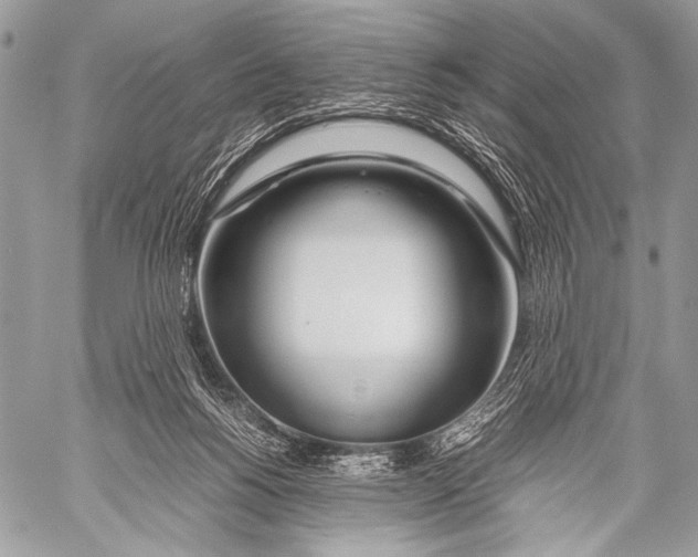 X0000057560168200510141357