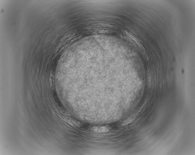 X0000057560169200510141357