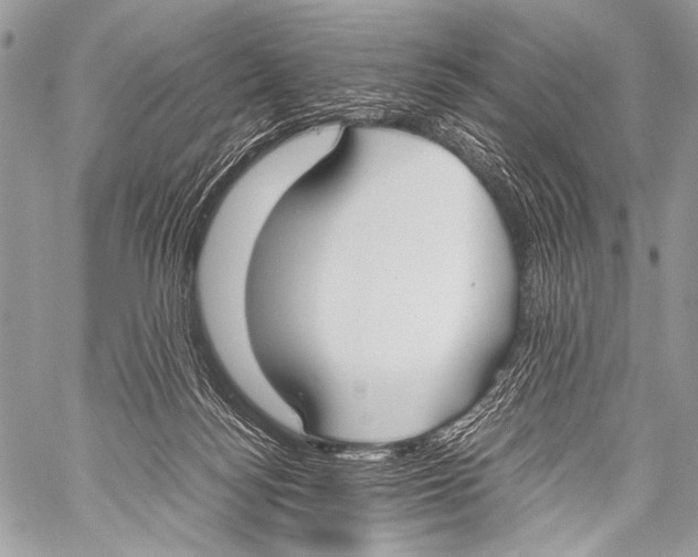 X0000057560172200510141357