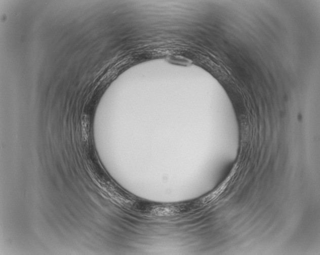 X0000057560174200510141357