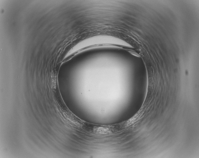 X0000057560180200510141358