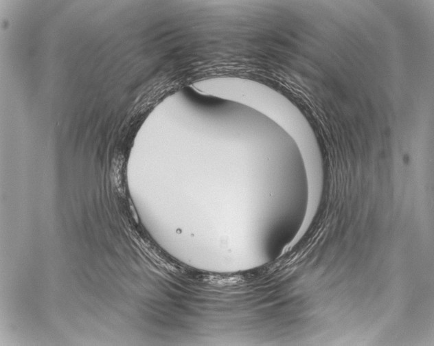 X0000057560185200510141358