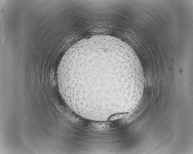 X0000057560187200510141358