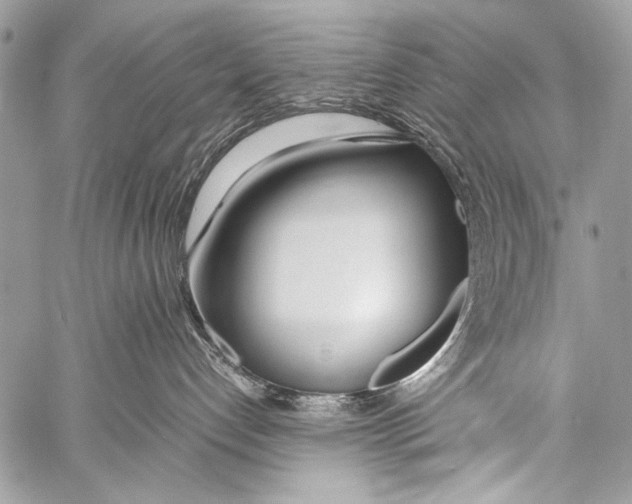 X0000057560192200510141358
