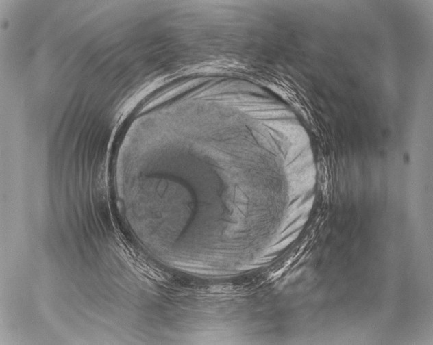 X0000057560196200510141357