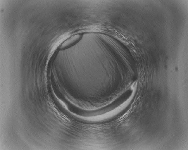 X0000057560200200510141357