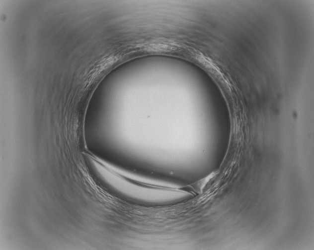 X0000057560201200510141357