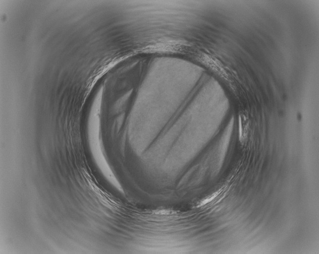 X0000057560204200510141357