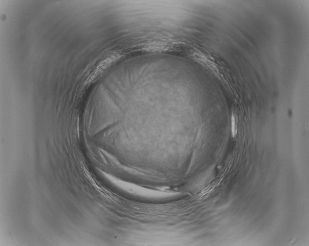 X0000057560205200510141357