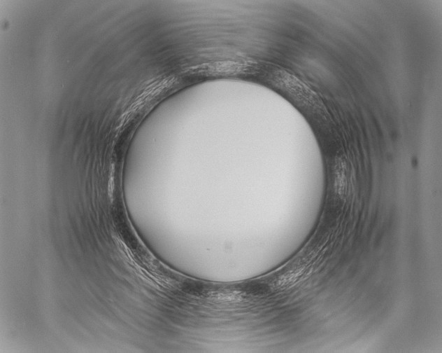 X0000057560206200510141357