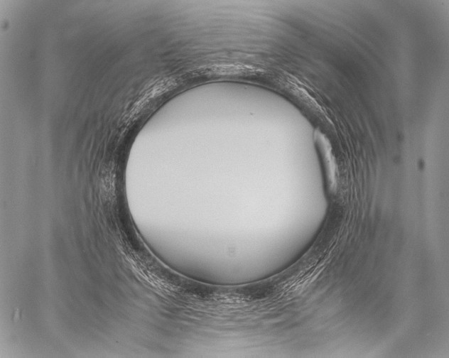 X0000057560207200510141357