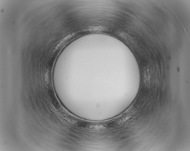 X0000057560208200510141357